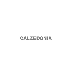 logo-calsedonia.jpg